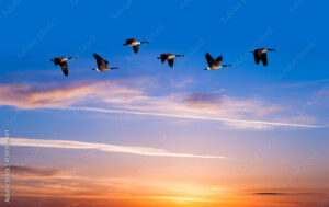 Mutation intra-départementale de PE